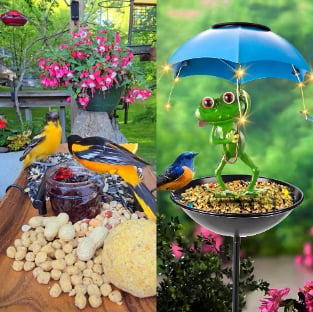 Frogsy™ | De Sfeervolle Vogelvoederbak