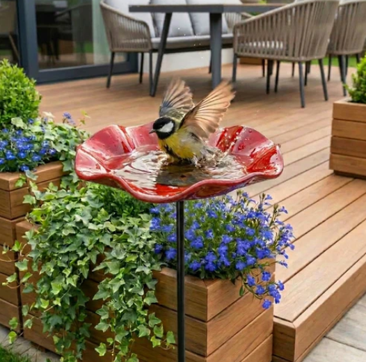 Klaproos Vogeldrinkbak